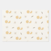 Decoratief Sinaasappel Slice Print Wrapping Paper (Voorkant 2)