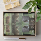 Decoratief tissuepapier beren wilde dieren (Geschenk)