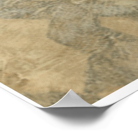 Decoratief zilver Bosbouw Poster (Hoek)