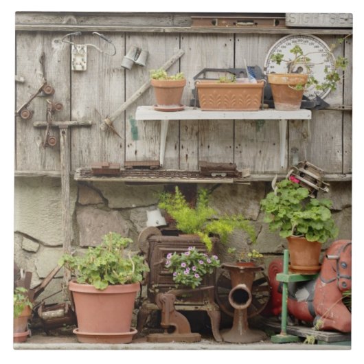 Decoraties op houten hek op het eiland Catalina, Tegeltje (Voorkant)