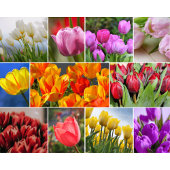 Decoratieve Bloemen Glas Snijplank