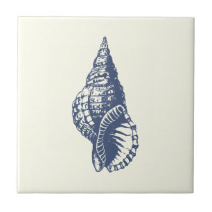 Decoratieve  Blue Seashell op Ivoor Tegeltje