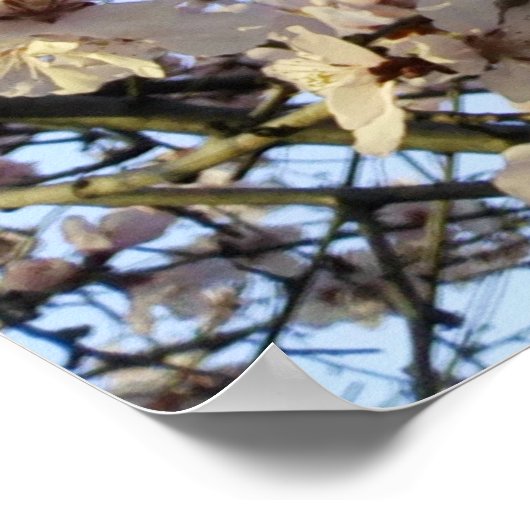 Decoratieve Cherry-boom met Martisor Poster (Hoek)