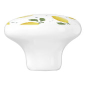 Decoratieve citrus keramische knoppen (Zijkant)