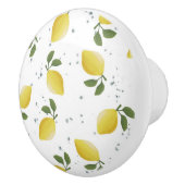 Decoratieve citrus keramische knoppen (Rechts)
