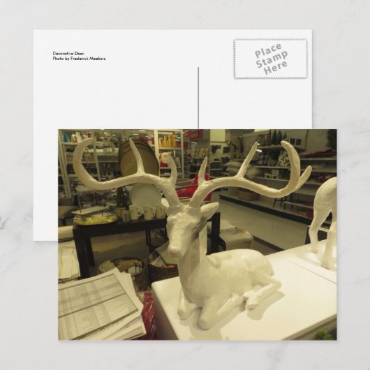 Decoratieve deer briefkaart (Voorkant / Achterkant)