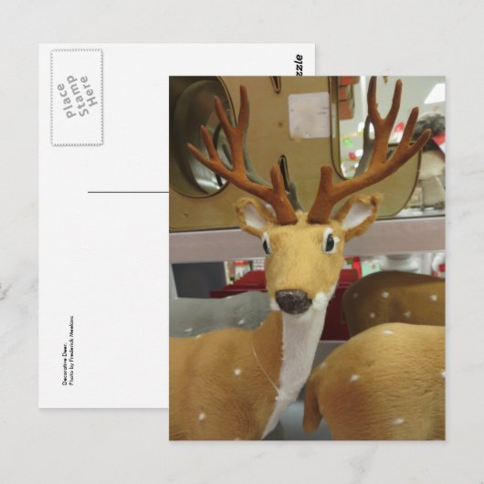 Decoratieve deer briefkaart (Voorkant / Achterkant)