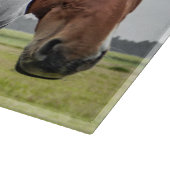 Decoratieve Drie Paardenhoofden Glassnijplank Snijplank (Hoek)