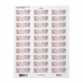 Decoratieve Fairy Pink Holiday Retour Adres Label (Full Sheet)