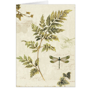 Decoratieve Ferns en een Dragonfly