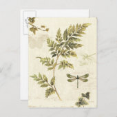 Decoratieve Ferns en een Dragonfly Briefkaart (Voorkant / Achterkant)
