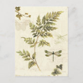Decoratieve Ferns en een Dragonfly Briefkaart (Voorkant)