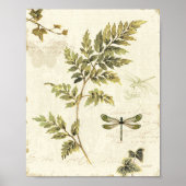 Decoratieve Ferns en een Dragonfly Poster (Voorkant)