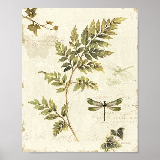 Decoratieve Ferns en een Dragonfly Poster (Voorkant)