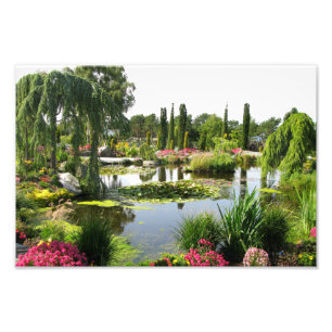 Decoratieve foto van het Uitzicht Beauful Park Afdruk