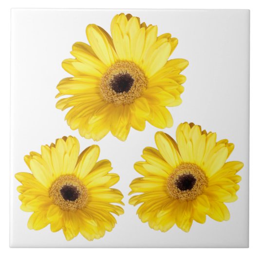 Decoratieve foto's met drie gele Gerber Daisy Tegeltje (Voorkant)