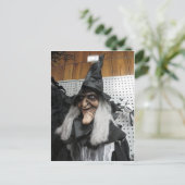 Decoratieve heks briefkaart (Staand voorkant)