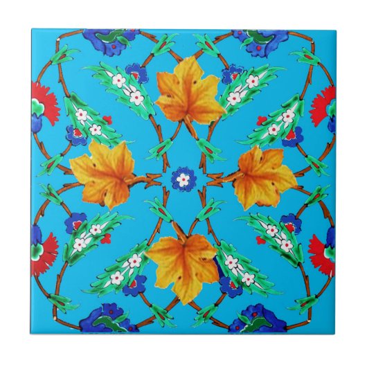 Decoratieve keramische keuken-backsplash wandtegel tegeltje (Voorkant)