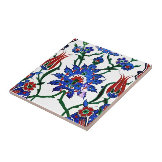 Decoratieve keramische keuken-backsplash wandtegel tegeltje (Zijkant)