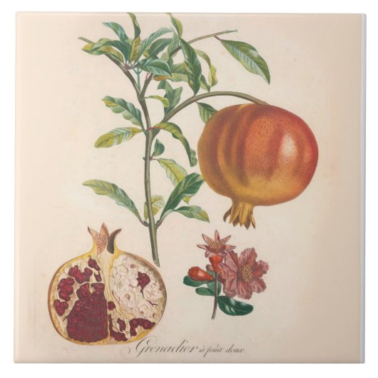 Decoratieve keramische tapijten met granaatvormer tegeltje (Voorkant)