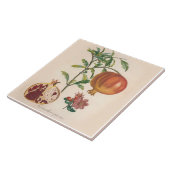 Decoratieve keramische tapijten met granaatvormer tegeltje (Zijkant)