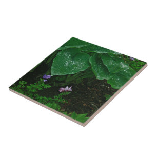 Decoratieve keramische Tegel / Hosta's met regendr Tegeltje