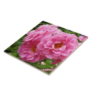 DECORATIEVE KERAMISCHE TEGEL."ROZE FRILLY ROZEN" TEGELTJE