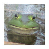 Decoratieve kikkervishoop tegeltje (Voorkant)