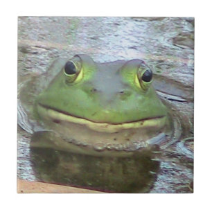 Decoratieve kikkervishoop tegeltje