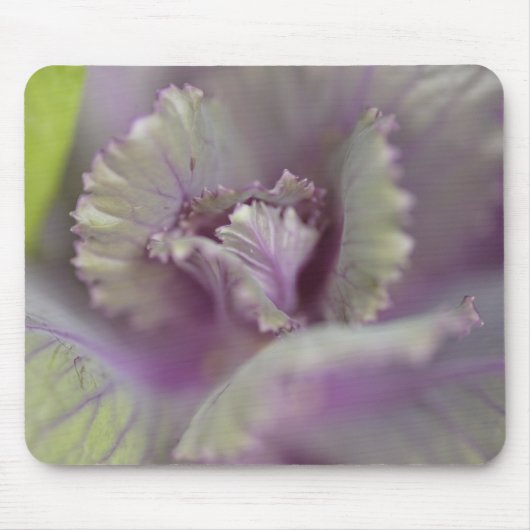 Decoratieve kool muismat (Voorkant)