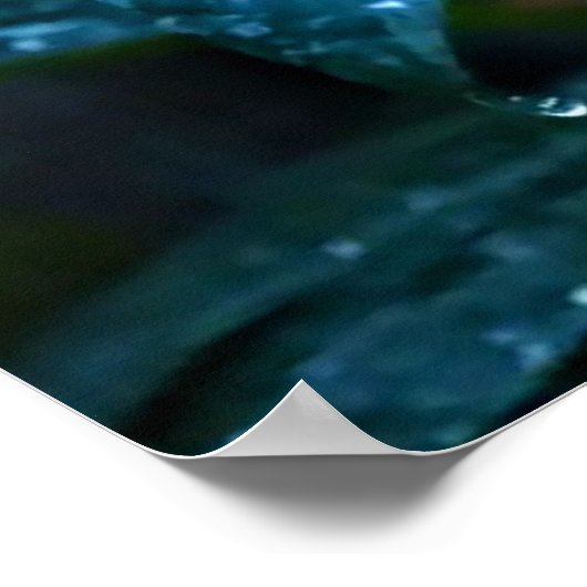 Decoratieve kunst - regendruppels op de bladeren # poster (Hoek)