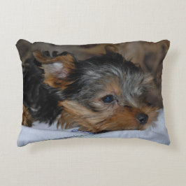 decoratieve kussen met een kleine hond