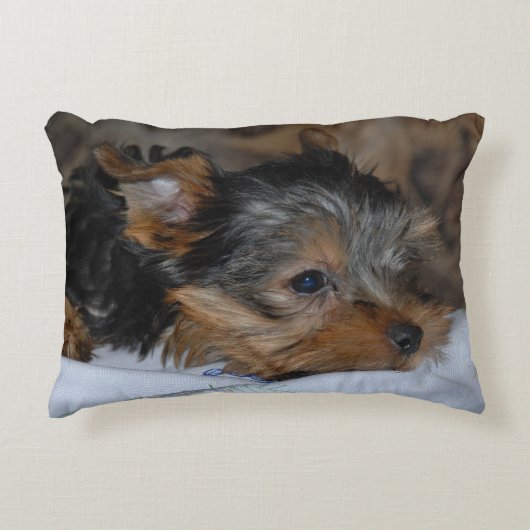 decoratieve kussen met een kleine hond (Voorkant)