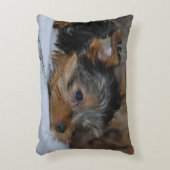 decoratieve kussen met een kleine hond (Voorkant(Verticaal))