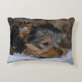 decoratieve kussen met een kleine hond (Achterkant)