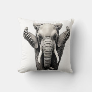 Decoratieve kussens