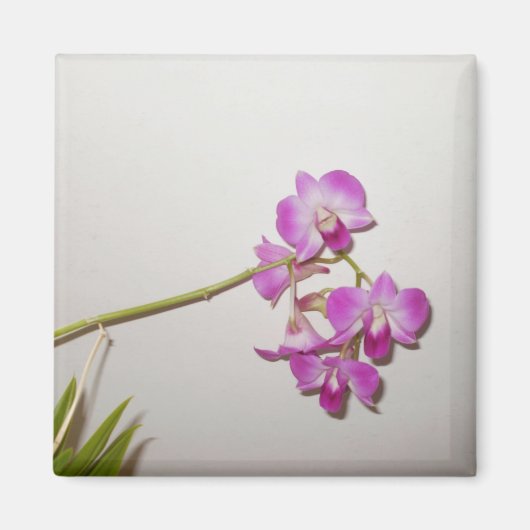  decoratieve orchideeënmagneet magneet (Voorkant)