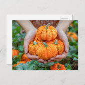 Decoratieve pompoenoogst close-up feestdagenkaart (Voorkant / Achterkant)