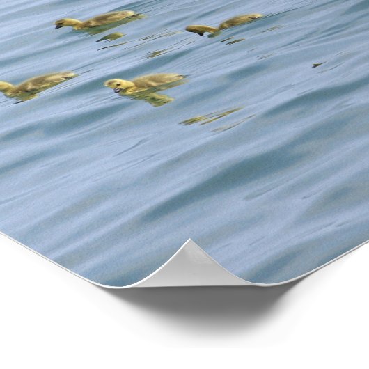 Decoratieve Posters (Hoek)