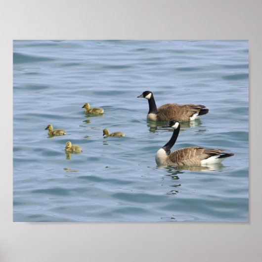 Decoratieve Posters (Voorkant)