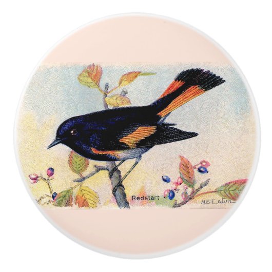 Decoratieve Redstart Vogel Keramische Knop (Voorkant)
