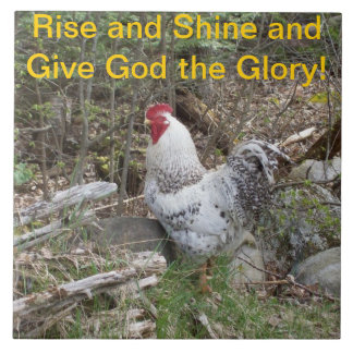 Decoratieve rooster tegeltje