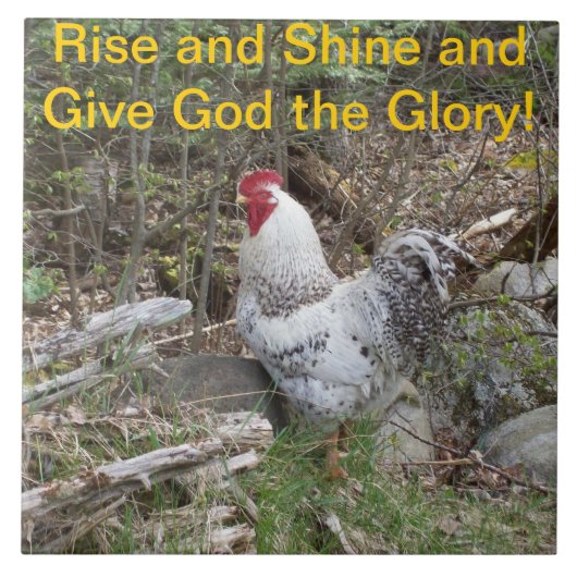 Decoratieve rooster tegeltje (Voorkant)