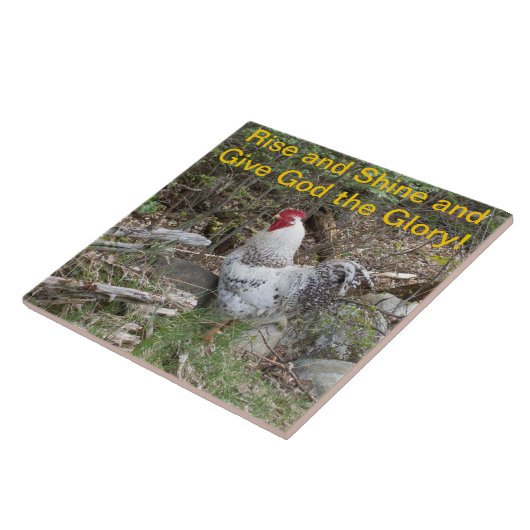 Decoratieve rooster tegeltje (Zijkant)