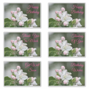 Decoratieve Stickers voor alle gelegenheden