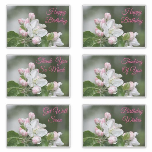 Decoratieve Stickers voor alle gelegenheden (Voorkant)