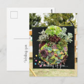 Decoratieve succulenten briefkaart (Voorkant / Achterkant)