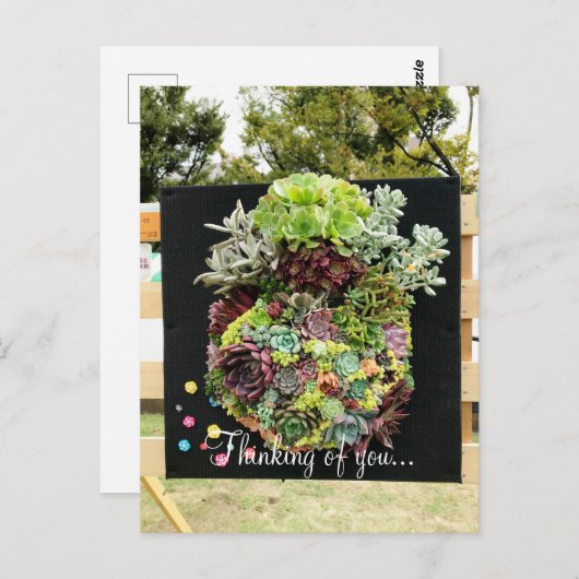 Decoratieve succulenten briefkaart (Voorkant / Achterkant)