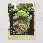 Decoratieve succulenten briefkaart (Voorkant)