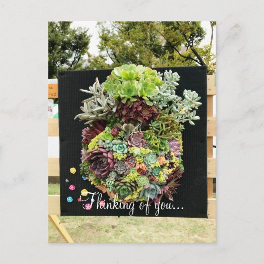Decoratieve succulenten briefkaart (Voorkant)